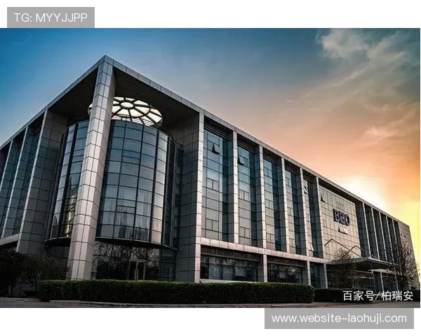 开云电子提供一站式电子解决方案满足客户多样需求