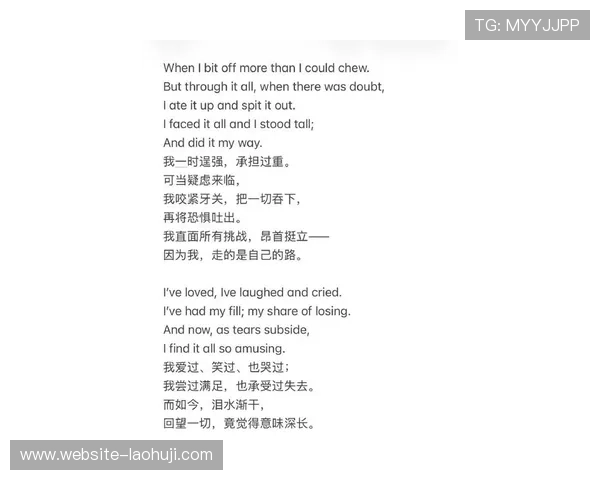 老虎机英文歌最火的一首歌的歌词解析，带你深入理解歌曲的魅力所在